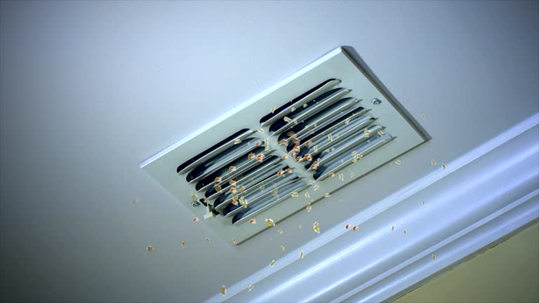Best Air Duct Cleaning Company Near Me  in Athens, OH